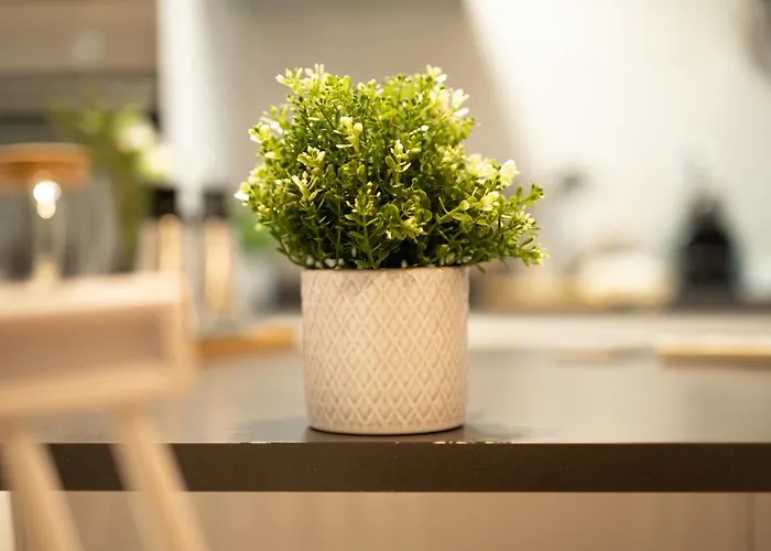 Διαμέρισμα Tranquilidad En Hazas